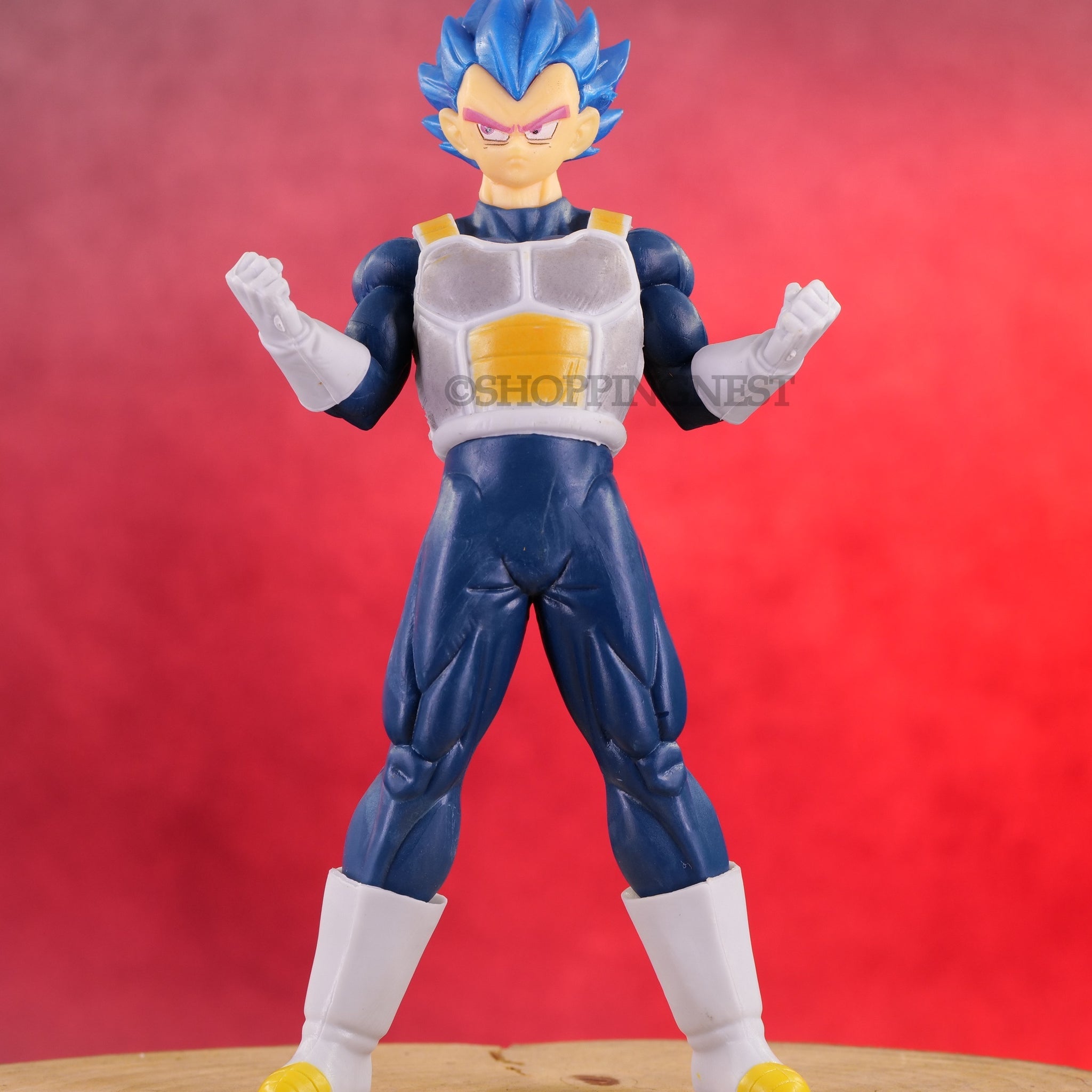 DBZ Anime Vegeta Super Saiyan BlueGod Self Standing Action Figures | 17 CMS |A