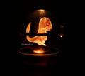  Charmander Crystal Poké Ball with red light 