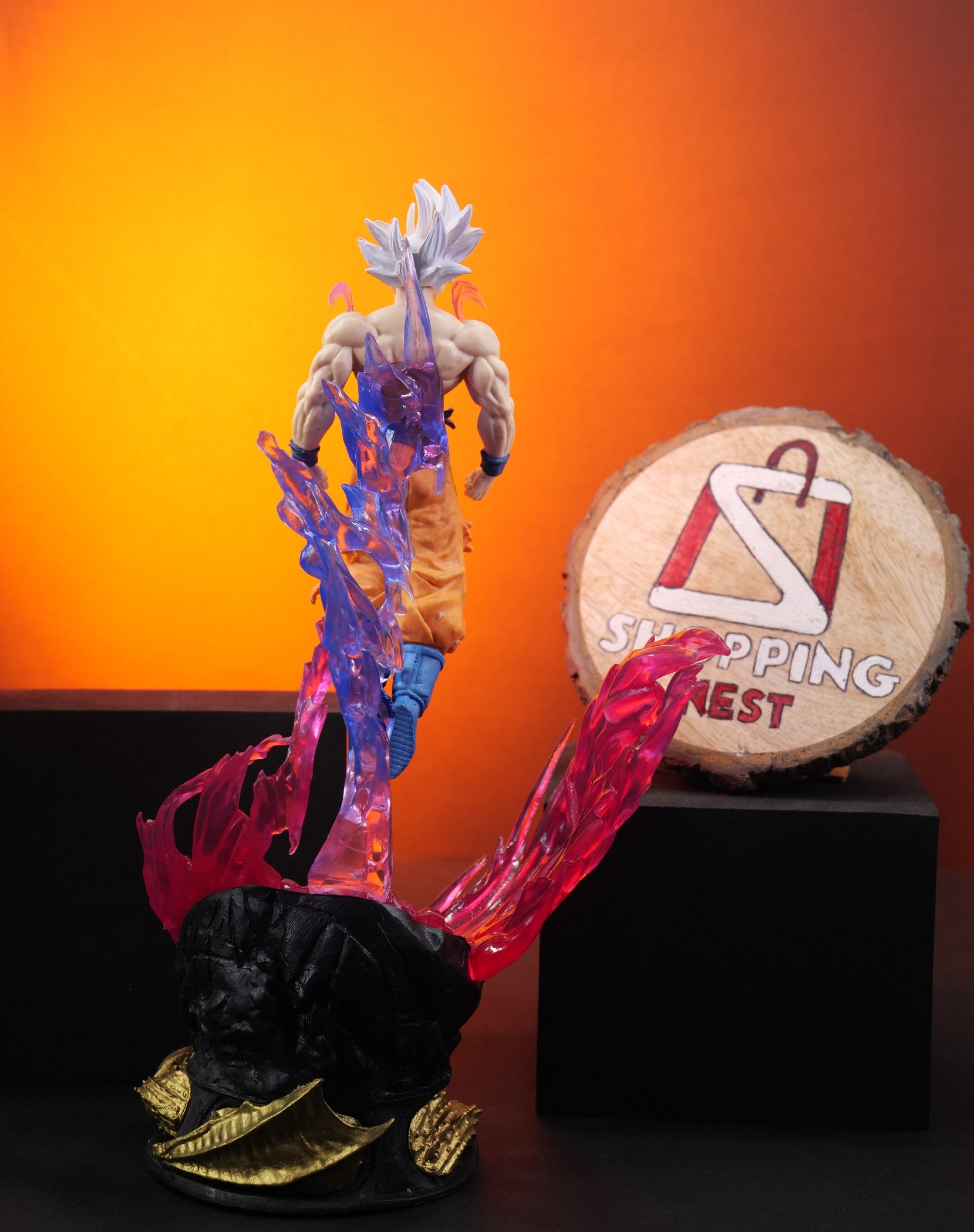 GOKU BACK SIDE IMAGE 